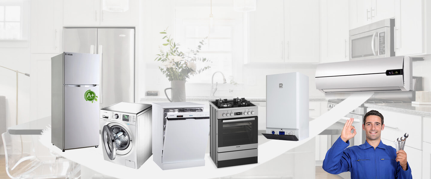 Esenler Smeg Servisi